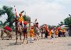 Enchanting Rajasthan Camel rides